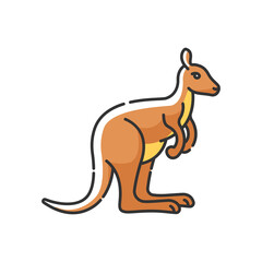 Kangaroo RGB color icon. Exotic wallaby, wild wallaroo. Tropical zoo inhabitant. Australian fauna, zoology. Jumping marsupial animal isolated vector illustration