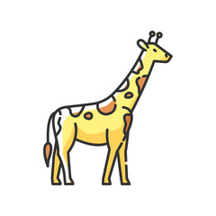 Giraffe RGB color icon. Exotic animal with long neck, african herbivore wildlife. African savanna, tropical zoo. Tall camelopard isolated vector illustration