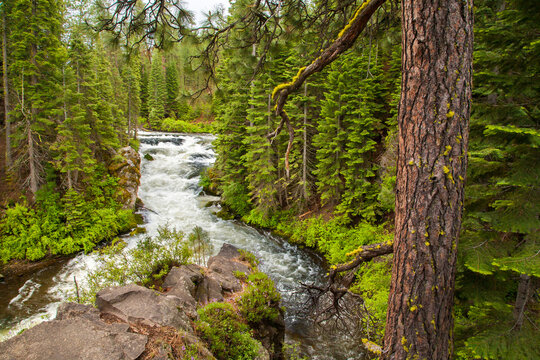 Benham Falls On Deschutes River Near Bend, Oregon