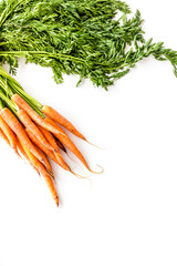 Carrot - fresh, with leaves - on white background top view copy space