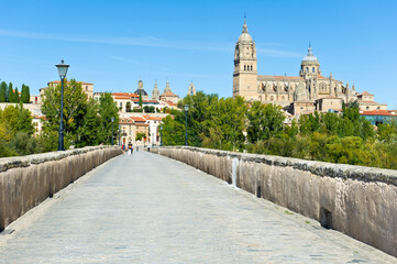 Salamanca Cathedral, Salamanca, Castile and Le&oacute;n region, Spain