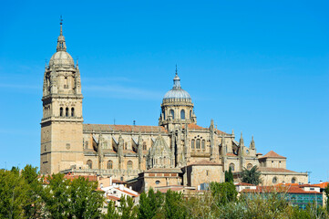 Fototapeta na wymiar Salamanca Cathedral, Salamanca, Castile and León region, Spain