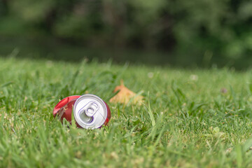 can of drink lying on green grass
