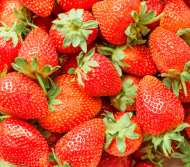 Background from freshly harvested strawberries. Selective focus.