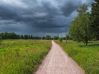 Fototapeta na wymiar Rural summer road through a field
