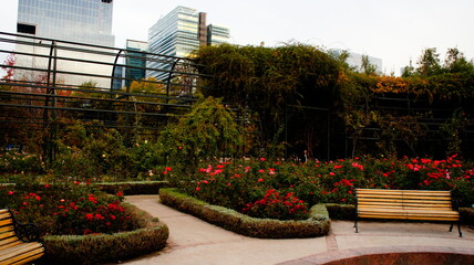 SONY DSC