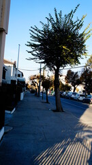 SONY DSC