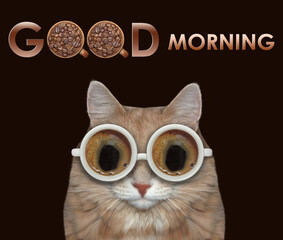 The beige cat in glasses made of cups with black coffee. Good morning. Black background. Isolated.