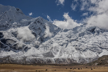 Manaslu & Pung Gyen glaciers, Manaslu & Ngadi Chuli mountains on acclimatization hike from Shyala village to Pung Gyen Gompa (temple) & Ramen Kharka (pasture), Manaslu Circuit, Manaslu Himal, Nepal.