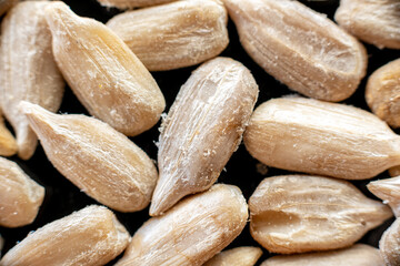 Obraz premium Fullscreen macro closeup with shallow depth of field of sunflower seeds on a black background. Texture. Graphic design.