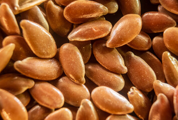Fullscreen macro closeup with shallow depth of field of flax seed. Texture. Graphic design.