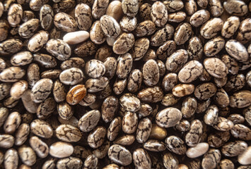 Fullscreen macro closeup with shallow depth of field of chia seeds. Texture. Graphic design.