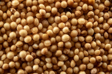 Fullscreen macro closeup with shallow depth of field of amaranth seeds. Texture. Graphic design.