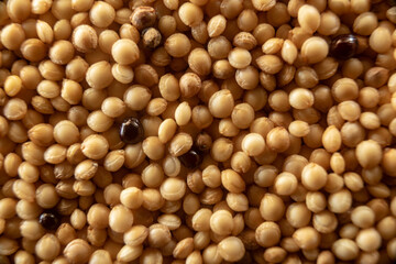 Fullscreen macro closeup with shallow depth of field of amaranth seeds. Texture. Graphic design.