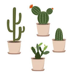 Zelfklevend Fotobehang Cactus in pot Set cactussen in potten