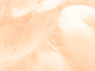 Obraz premium Beautiful abstract white and light orange feathers on white background, soft brown feather texture on white patter, yellow feather background