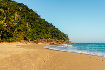Tropical beach during Brazilian summer