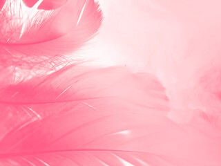 Fototapeta na wymiar Beautiful abstract white and pink feathers on white background and soft white feather texture on pink pattern and pink background, feather background, pink banners