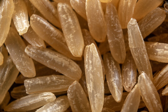 Macro closeup of brown rice unfolded across the screen. Brown rice texture. Food. Graphic design.