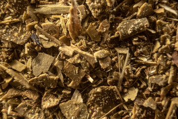 Fullscreen macro close-up with shallow depth of field of yerba mate. Texture. Graphic design.