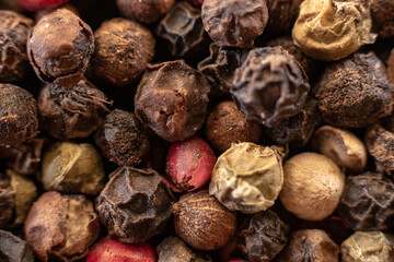 Fullscreen macro closeup with shallow depth of field of unmilled red, green, white and black peppercorns