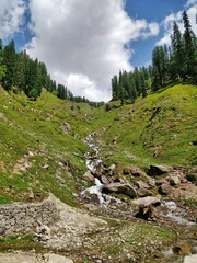 Beautiful stream of water flowing through rocks, stones of steep slope of Indian Himalayan Mountain Valley.