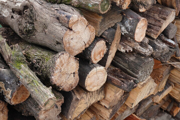 stack of firewood