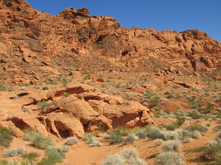 Landscape with red sandstone formations, Valley of Fire State Park, Nevada, USA © Slawina