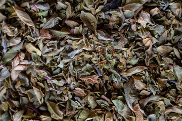 Fullscreen macro closeup of dried oregano. Food seasoning. Texture. Graphic design.