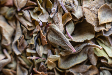 Fullscreen macro closeup of dried oregano. Food seasoning. Texture. Graphic design.