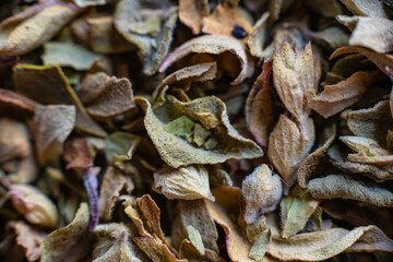 Fullscreen macro closeup of dried oregano. Food seasoning. Texture. Graphic design.