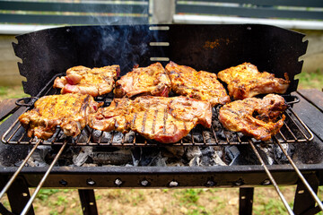 Delicious grilled food close up