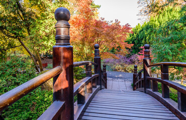 Sightseeing of Wroclaw, Poland. Picturesque Japanese garden in autumn