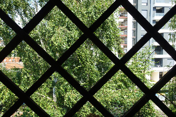 Look through metal grid fence on rich green tree canopy. Net background.