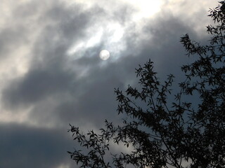The moon in deep evening clouds