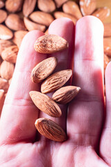 Close up one hand holding shiny peeled almond seeds. Peeled almond texture. Superfood. Natural food.