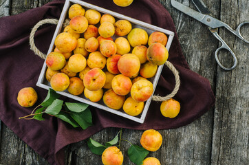 Delicious ripe apricots with leaves in a wooden box on the old dark table.