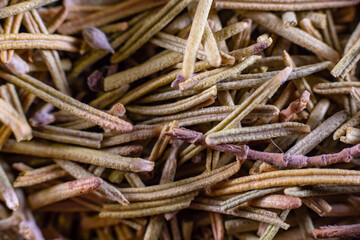 Closeup of dried rosemary leaves. Rosemary texture. Very popular and healthy seasoning worldwide.