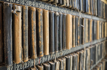 shelf with historic commission books