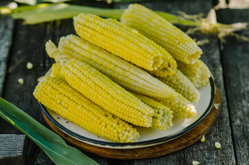 Steamed sweet corn on wooden dark table