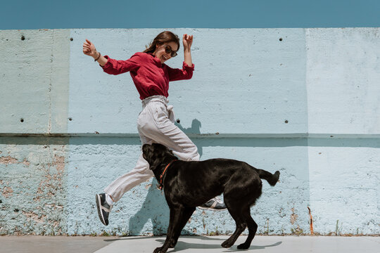 Cheerful brunette having fun with her dog outside
