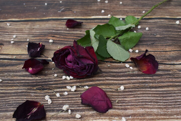 A wilted rose on a wooden background, an old flower