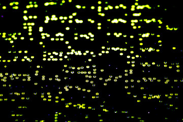 Green lights on a black background create a digital effect. Geometric abstract blurred background.A colorful pattern.Unique texture.