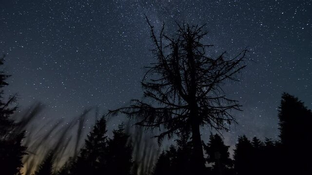 Time-lapse of the Milky Way, Jupiter, Saturn and the night sky behind a wide hill in the forest.