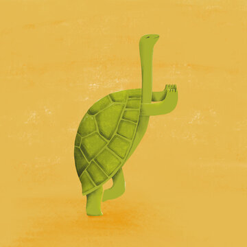 Tortoise Yoga