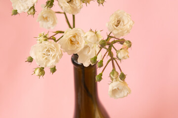 A branch of white small roses on a pink background.