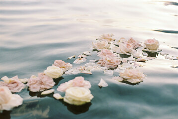 roses on the water