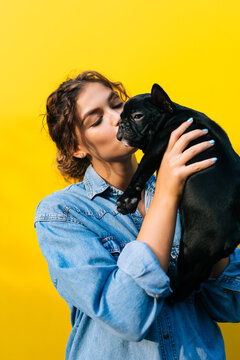 Black Frenchie With His Owner