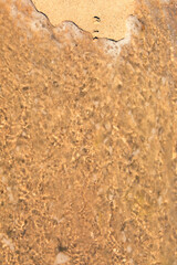 Soft wave of the sea on the sandy beach. Vertical photo. Copy space