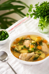 Chicken soup with fresh vegetables, chicken wings broth and young potatoes with onions and carrots, chopped green onions and parsley